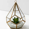 Pyramid Diamond Hanging Terrarium Elegant Glass Vase for Succulents and Miniature Gardens Mazallz