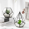 Pyramid Diamond Hanging Terrarium Elegant Glass Vase for Succulents and Miniature Gardens Mazallz