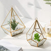 Pyramid Diamond Hanging Terrarium Elegant Glass Vase for Succulents and Miniature Gardens Mazallz