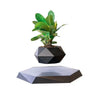 Levitating Magnetic Plant Pot