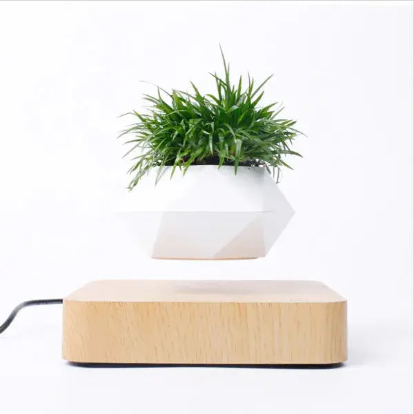 Levitating Magnetic Plant Pot