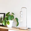 Levitating Smart Lamp- left side of lamp on the table with plant next to it 