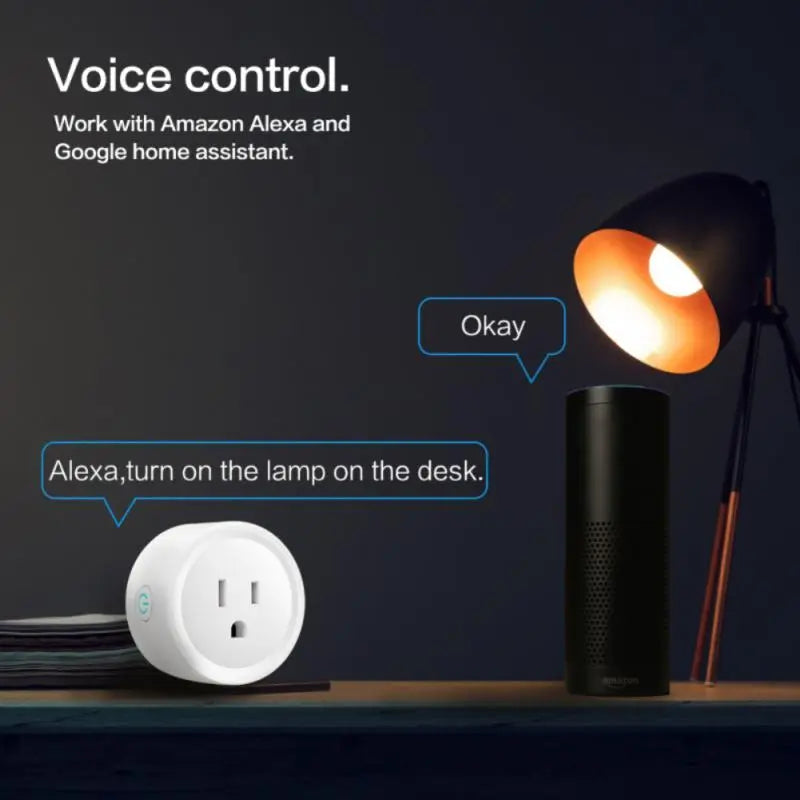 Smart Plug Switch | is voice control 